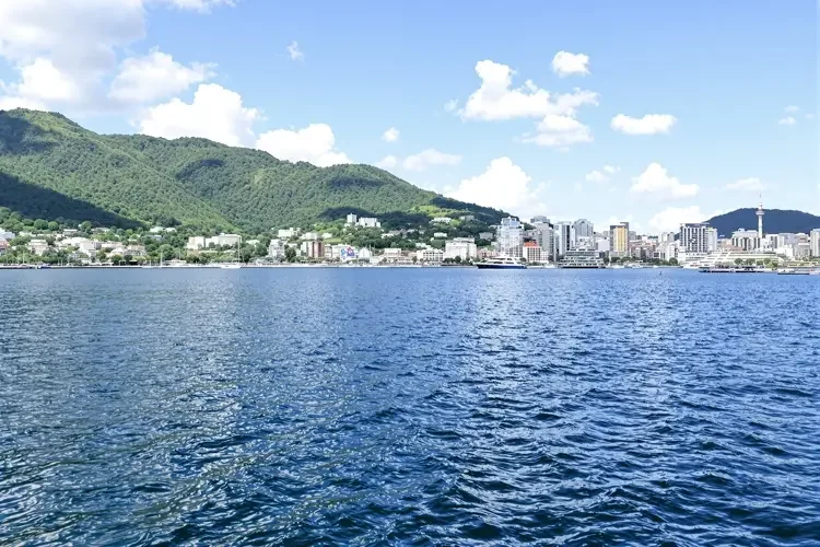 吃瓜在线 - 经纪公司内部邮件泄露，艺人分成比例惊人曝光